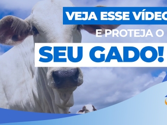 veja-esse-video-e-proteja-seu-gado