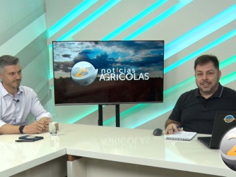 Vinicius Marchese