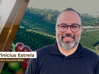 vinicius site