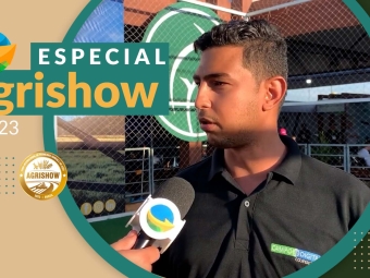 Wilgridy Ribeiro-