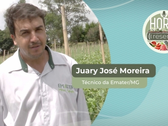 YOUTUBE_CAPA_HORTI RESENHA 15-02