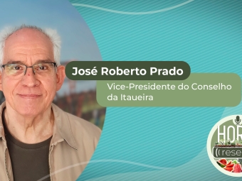 YOUTUBE_CAPA_HORTI RESENHA #7