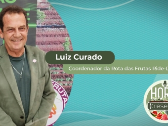 YOUTUBE_CAPA_LUIZ CURADO
