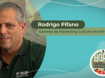 YOUTUBE_CAPA_RODRIGO PIFANO