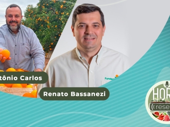 YOUTUBE_HORTI RESENHA #24