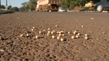 Logística caminhão grãos de soja