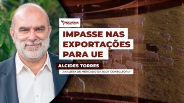 ALCIDES