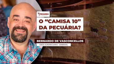 BERNARDO