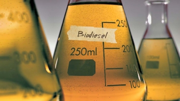 biodesel