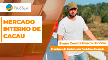 BOLETINS THUMB CACAU