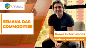 BOLETINS THUMB COMMODITIES