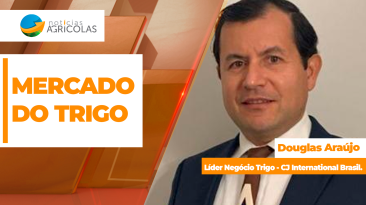 BOLETINS THUMB TRIGO