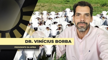 BORBA
