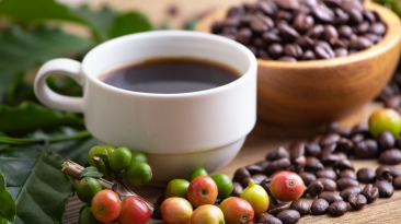 Café - Foto Envato (13)