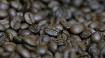 Cafe Grao Torrado - CNA (1)