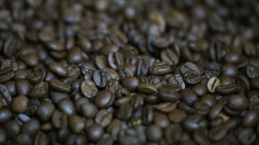 Cafe Grao Torrado - CNA (3)