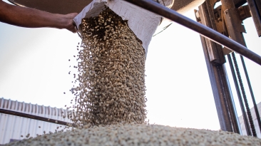 Cafe Industria Sacas - CNA (3)