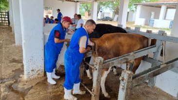 Captura de tela 2026-03-16 143948