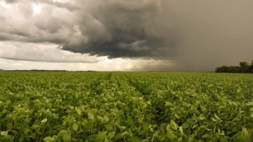 chuva lavoura rio grande do sul