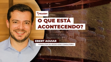 ebert aguiar
