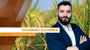 EDUARDO 2