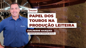 GUILHERME