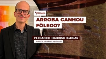 HENRIQUE