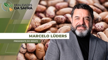 MARCELO