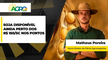 MATHEUS PEREIRA