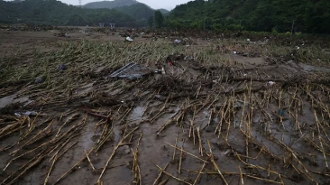 Milho destruído pelas chuvas na China