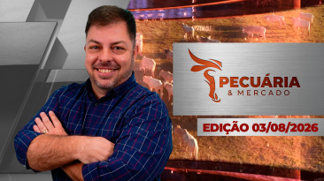 P&M THUIMB ÍNTEGRA