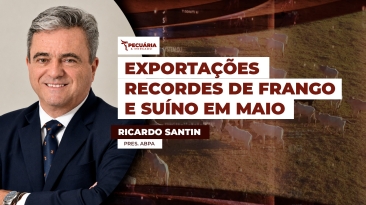 RICARDO