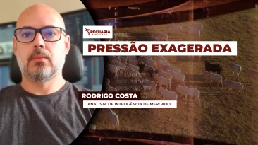 RODRIGO COSTA
