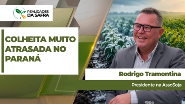 RODRIGO.jpg (1)