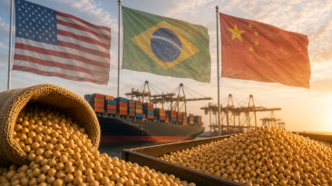 Soja BR-EU-China