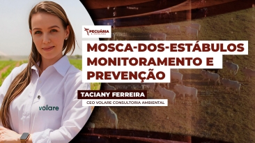 TACIANY
