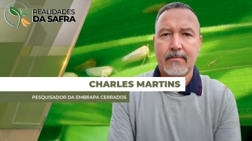 THUMB - ENTREVISTADO 1 - RDS 2