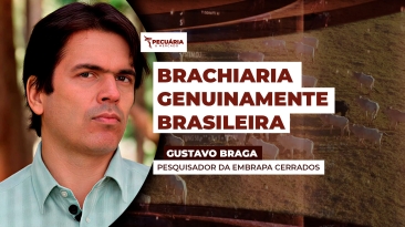 THUMB PECUÁRIA & MERCADO