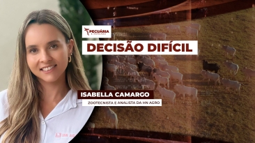 THUMB PECUÁRIA & MERCADO