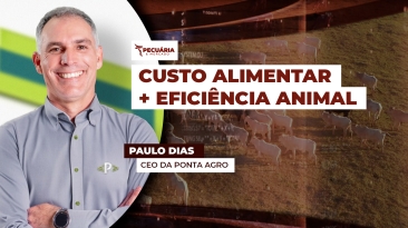 THUMB PECUÁRIA & MERCADO