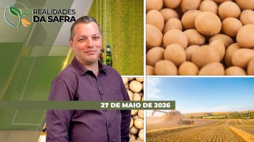 THUMB_REALIDADES_2025_SITE