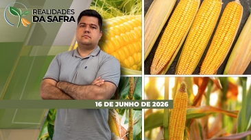 THUMB_REALIDADES_2025_YT