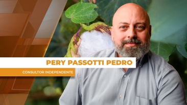 THUMBS - SITE - GNR - PERY