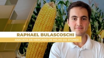 THUMBS - SITE - GNR - rafa