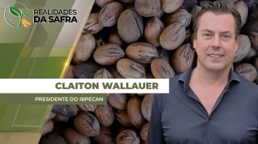 THUMBS - SITE - RLD - cleiton