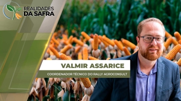 VALMIR-ASSARICE