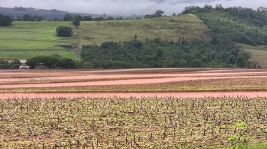 solo encharcado soja