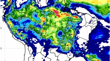 WhatsApp Image 2025-12-19 at 08.52.34