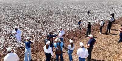 Cotton Brazil Dialogues reúne líderes globais da moda e da cadeia têxtil em imersão pelo algodão brasileiro