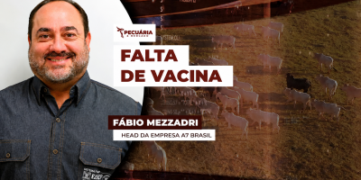 A falta de vacina para clostridioses preocupa pecuaristas no Brasil inteiro